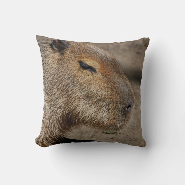 Australian Capybara  Pillow (Front)