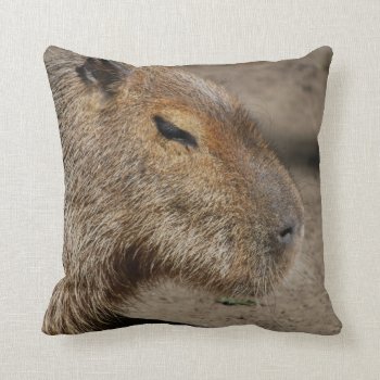 Australian Capybara  Pillow by WildlifeAnimals at Zazzle