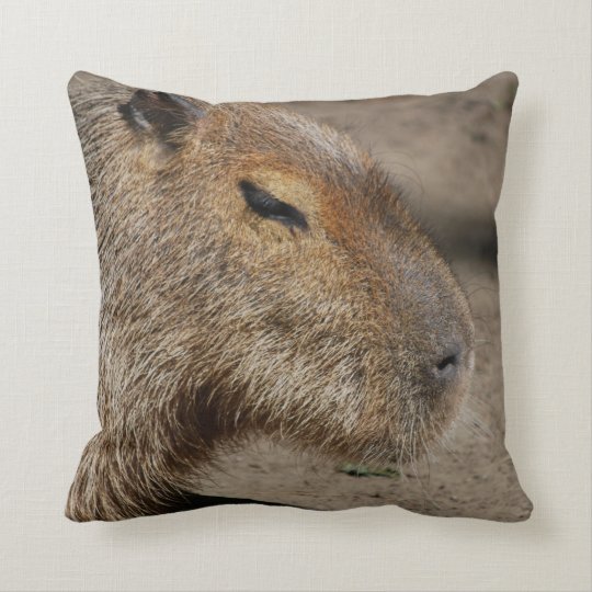 capybara encanto pillow pet