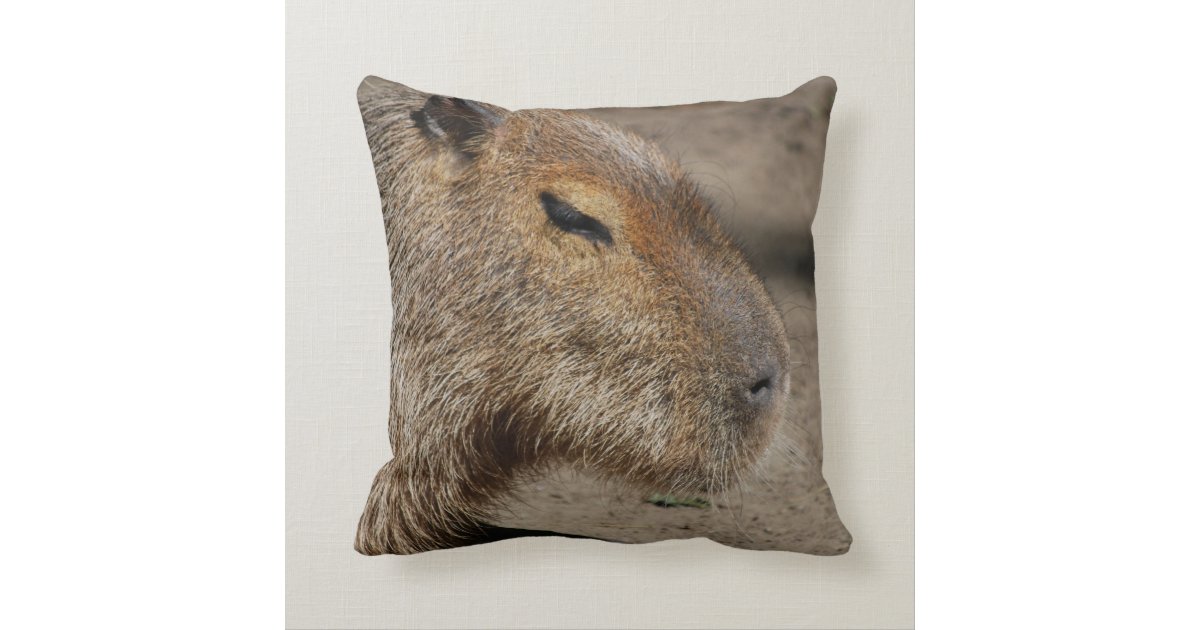 pillow capybara plush