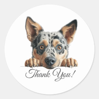 Australian Cattle Cute Dog Thank You Classic Round Sticker