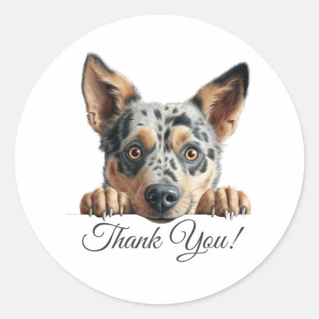 Australian Cattle Cute Dog Thank You Classic Round Sticker (Front)