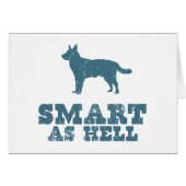 Australian Cattle Dog (Front Horizontal)