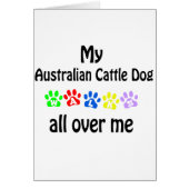 Australian Cattle Dog (Front)