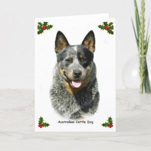 Australian Cattle Dog 9F061D-03 Holiday Card