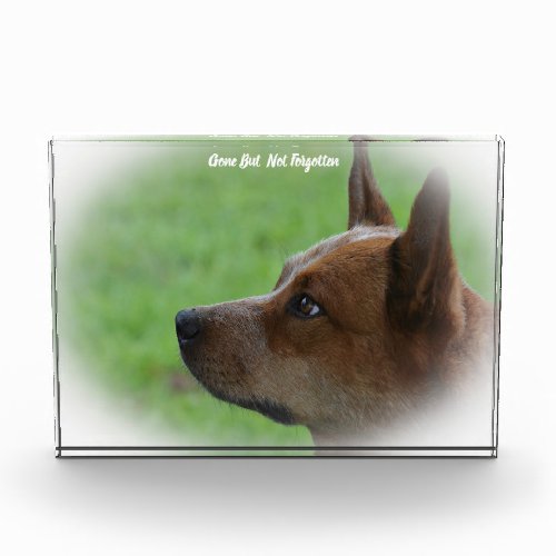 Australian Cattle Dog Acrylic Award