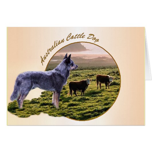 Australian Cattle Dog Art Cards (Front Horizontal)