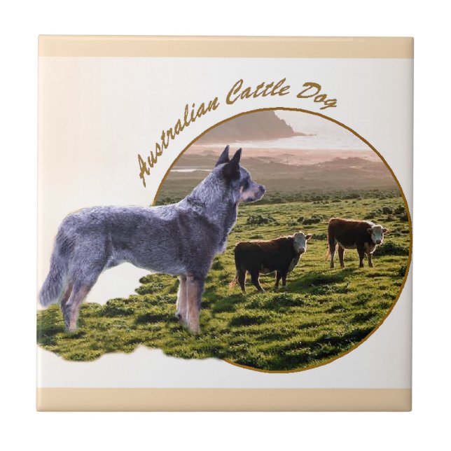 Australian Cattle Dog Art Ceramic Tile (Front)