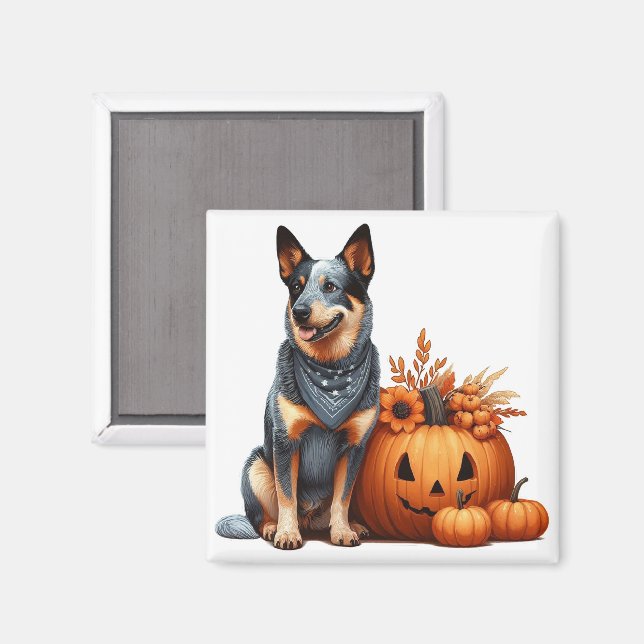 Australian Cattle Dog Beside a Jack-O-Lantern  Magnet (Front/Back)