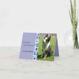 Australian Cattle Dog Birthday Greeting Card