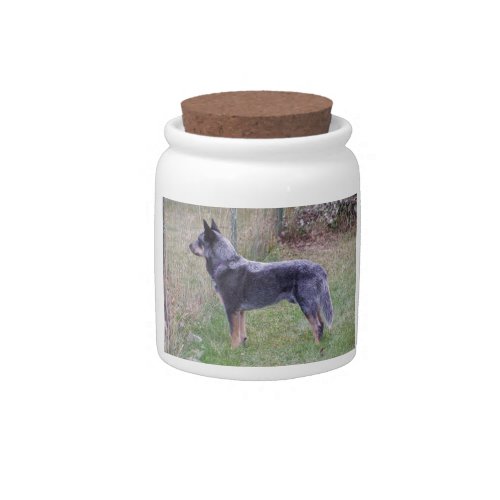 Australian_Cattle_Dog_blue full Candy Jar