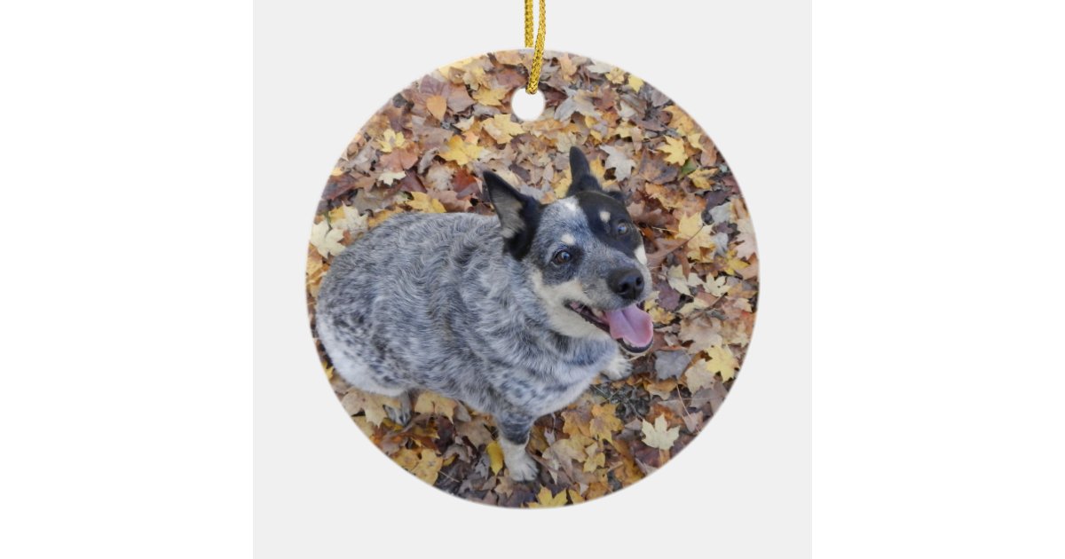 AUSTRALIAN CATTLE DOG BLUE HEELER CHRISTMAS ORNAME CERAMIC ...