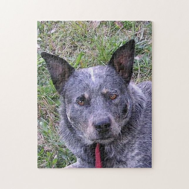 Australian_cattle_dog blue.png jigsaw puzzle (Vertical)