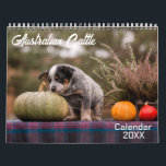 Australian Cattle Dog Calendar 2026<br><div class="desc">Do You love ♥ dogs? Do you know someone who loves ♥ dogs? Perfect Australian Cattle Dog Calendar 2026 gift for any occasion: Birthday Gifts Halloween Gifts Veterans Day Gifts Mother's Day Gifts Mindful Gifts new year wishes... Gifts new year 2026 ✓Fill your Years with success ! Everyone need to...</div>