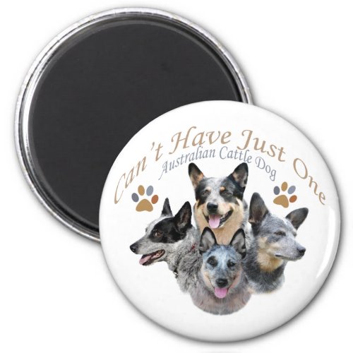 Australian Cattle Dog Cant Have Just One gifts Magnet