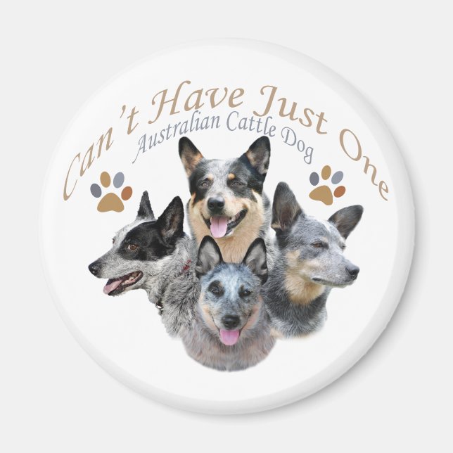 Australian Cattle Dog Can't Have Just One gifts Magnet (Front)