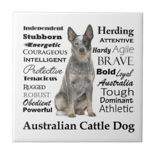 Australian Cattle Dog Ceramic Tile