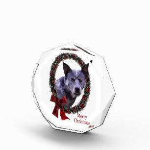 Australian Cattle Dog Christmas Acrylic Award