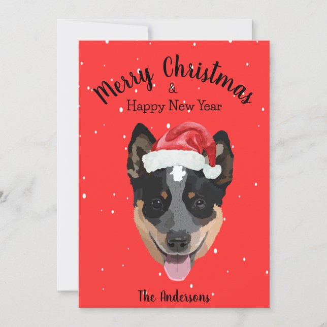 Australian Cattle Dog Christmas Holiday Card (Front)