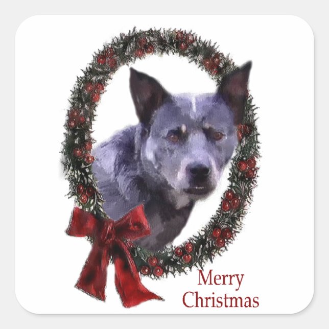 Australian Cattle Dog Christmas Square Sticker (Front)