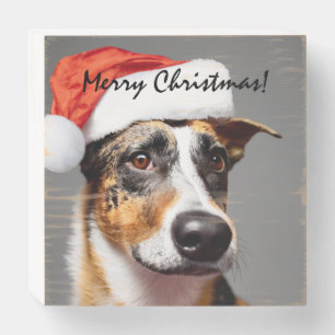 Australian Cattle Dog Christmas Wooden Box Sign
