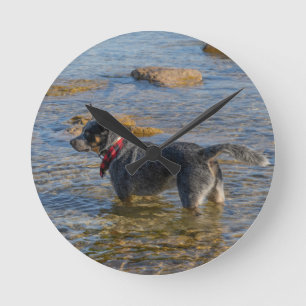 Australian Cattle Dog Clock