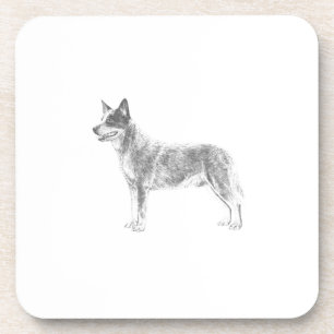 Australian Cattle Dog Coaster