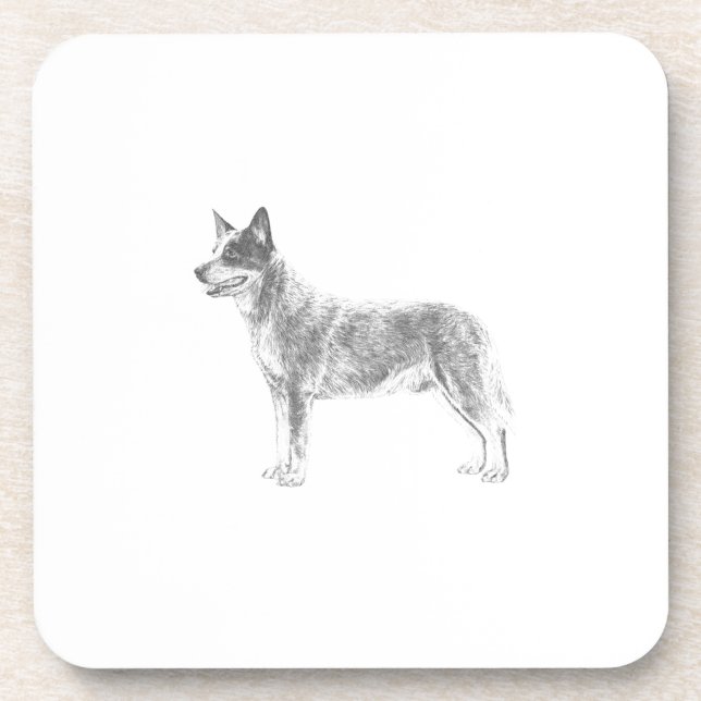 Australian Cattle Dog Coaster (Front)
