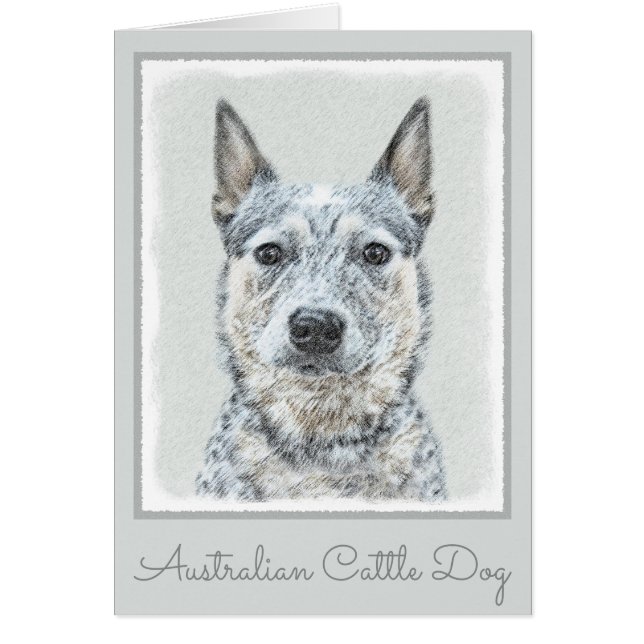 Australian Cattle Dog - Cute Original Dog Art (Front)