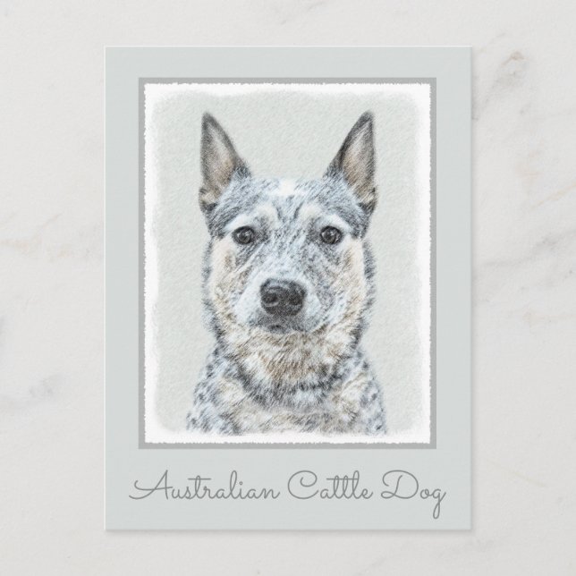 Australian Cattle Dog - Cute Original Dog Art Postcard (Front)