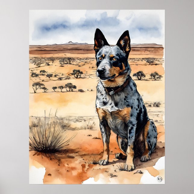 Australian Cattle Dog - Dog Art Print (Front)