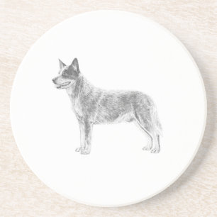 Australian Cattle Dog Drink Coaster