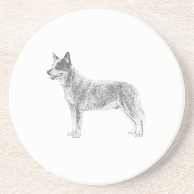 Australian Cattle Dog Drink Coaster (Front)