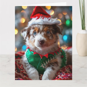 Australian Cattle Dog Elf Puppy Christmas Card