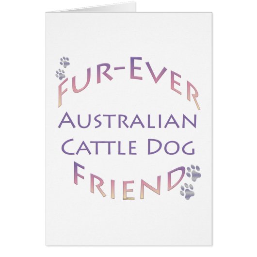 Australian Cattle Dog Furever (Front)