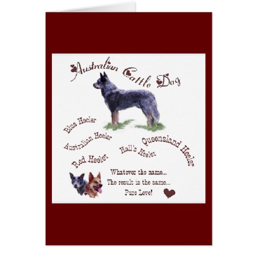 Australian Cattle Dog Gifts (Front)