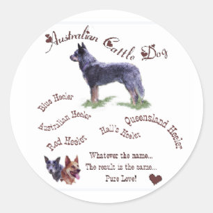 Australian Cattle Dog Gifts Classic Round Sticker