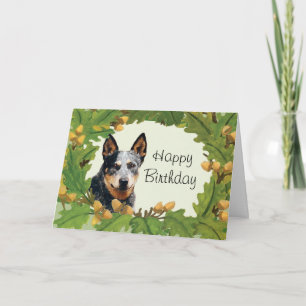 Australian Cattle Dog Happy Birthday Card