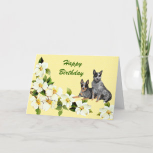 Australian Cattle Dog Happy Birthday Card