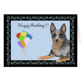 Australian Cattle Dog Birthday Cards | Zazzle