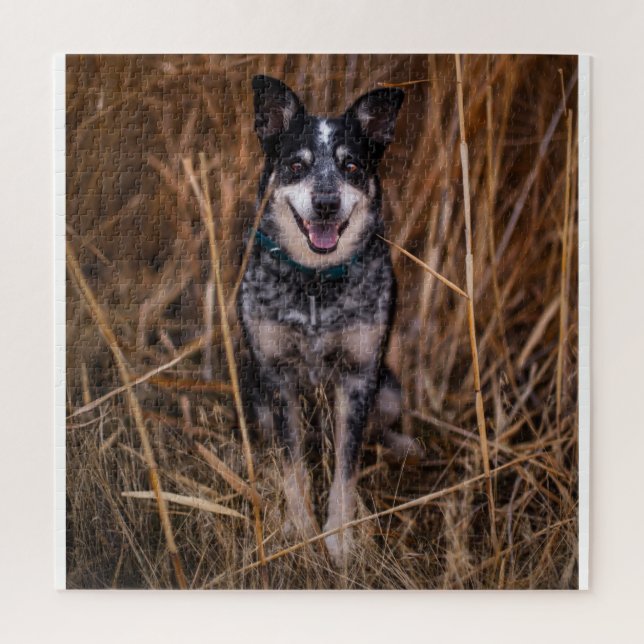 Australian Cattle Dog Heeler Jigsaw Puzzle (Vertical)