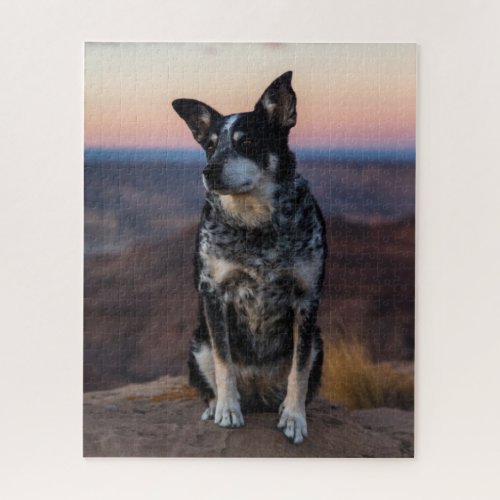 Australian Cattle Dog Heeler _ Sunset _ Jigsaw Puzzle