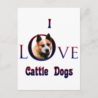Australian Cattle Dog I Love Postcard