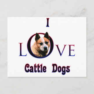 Australian Cattle Dog I Love Postcard