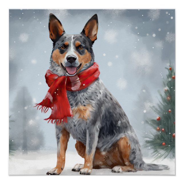 Australian Cattle Dog in Snow Christmas  Poster (Front)