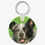 Australian Cattle Dog Keychain
