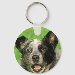 Australian Cattle Dog Keychain