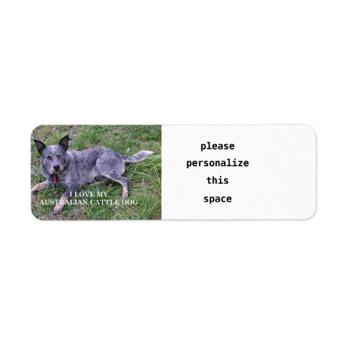 Australian cattle dog love w pic label
