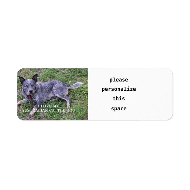 Australian cattle dog love w pic label (Front)