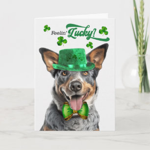 Australian Cattle Dog Lucky St Patrick's Day Holiday Card